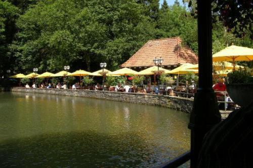 Waldhotel Silbermuehle Horn-Bad Meinberg Dış mekan fotoğraf