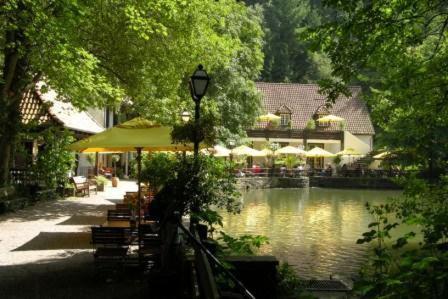 Waldhotel Silbermuehle Horn-Bad Meinberg Dış mekan fotoğraf